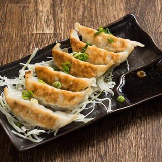 Pan Fried Dumplings (6 pc)